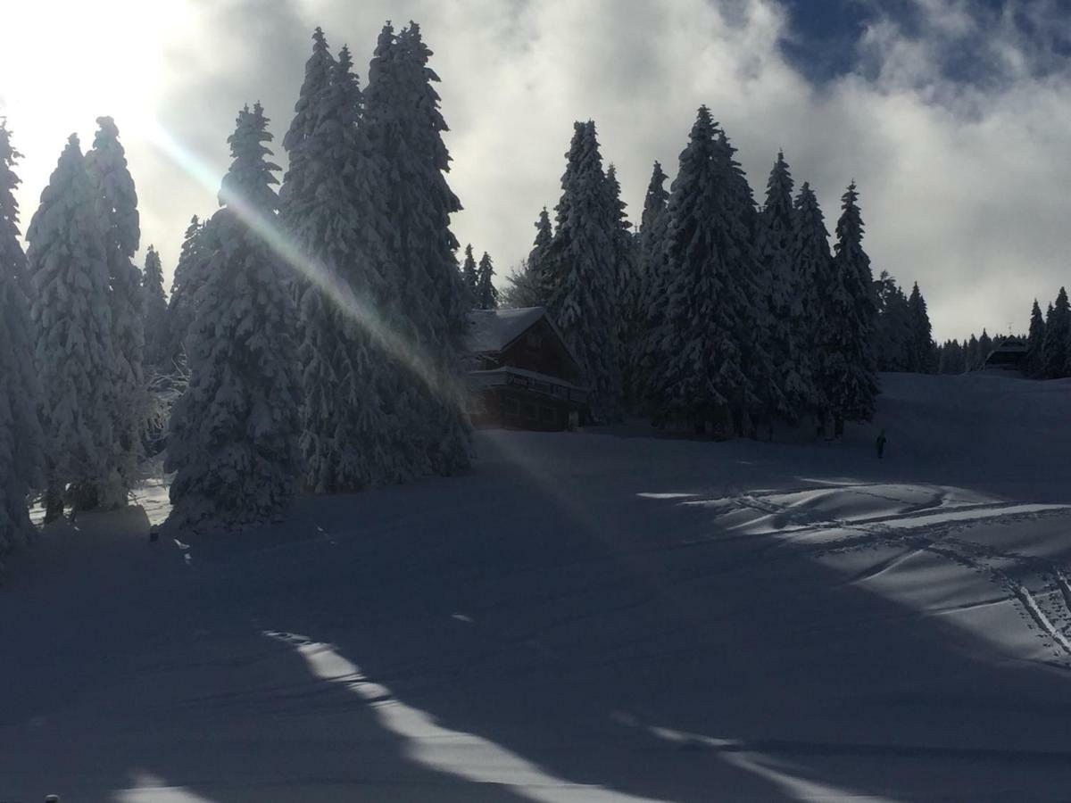 Auerhahn Hotel Feldberg  Kültér fotó