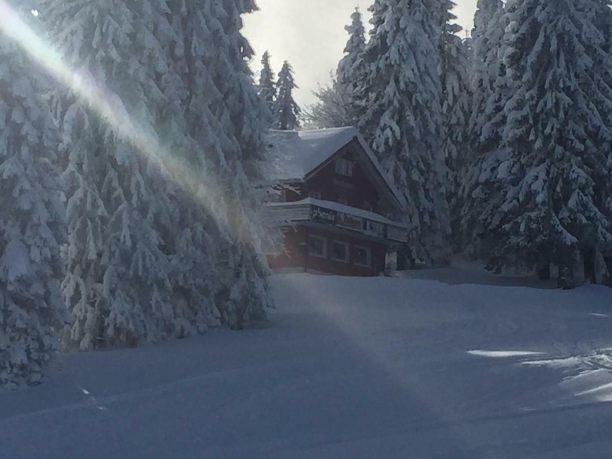 Auerhahn Hotel Feldberg  Kültér fotó
