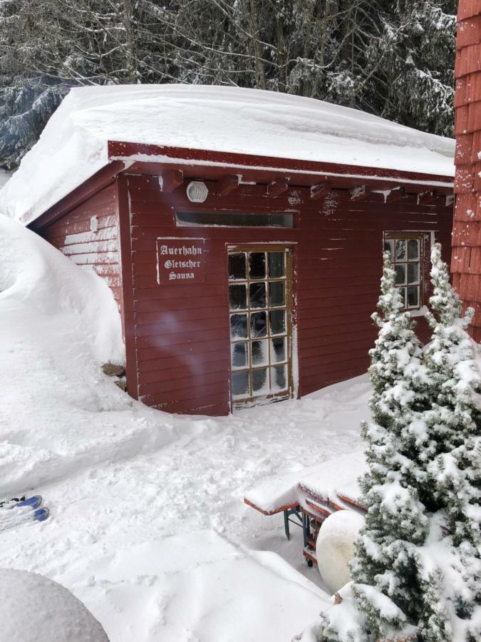 Auerhahn Hotel Feldberg  Kültér fotó